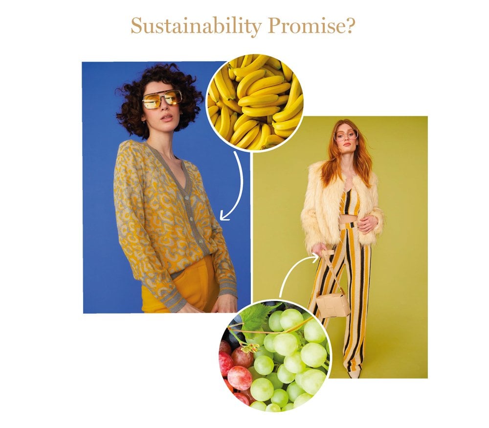 Sustainable Promise