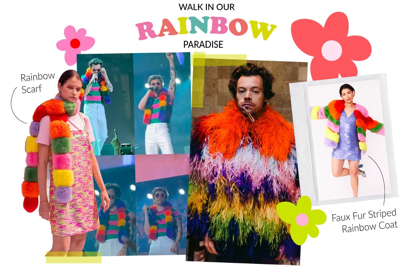 Rainbow Collection