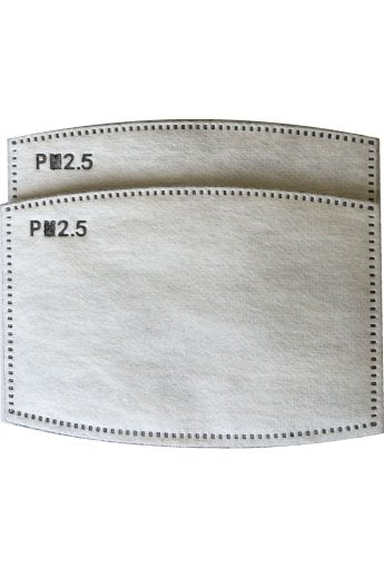 Adults Mask Filter (Pack of 2)